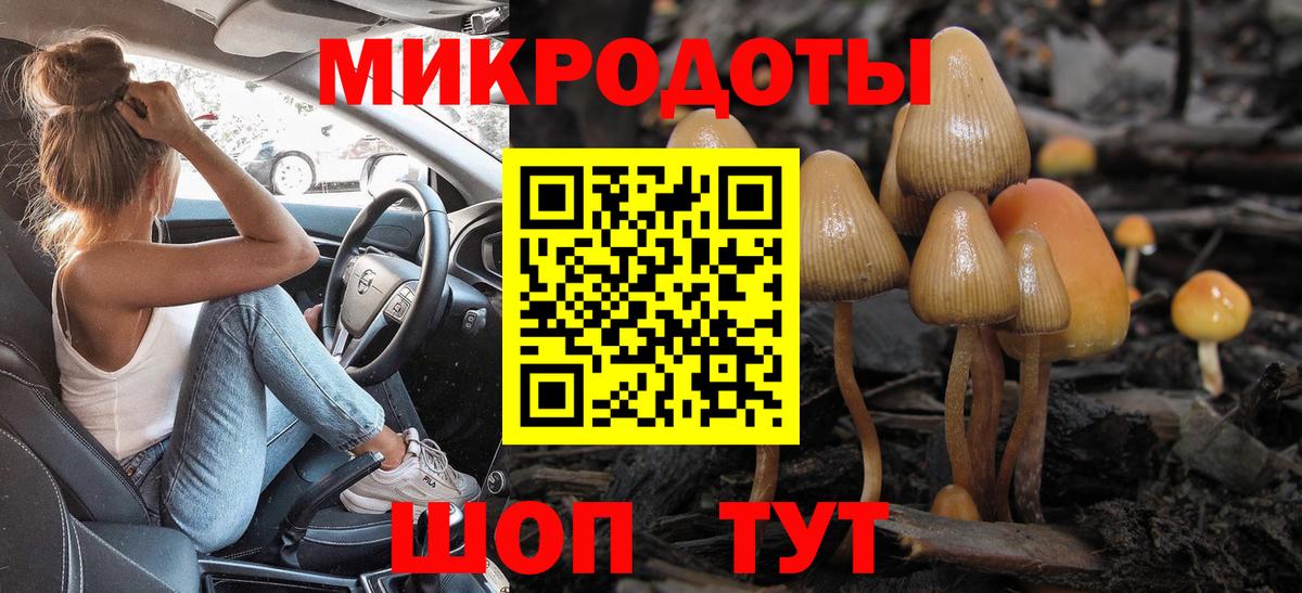 Псилоцибиновые грибы Psilocybine cubensis  Вход с VPN  Ахтубинск 